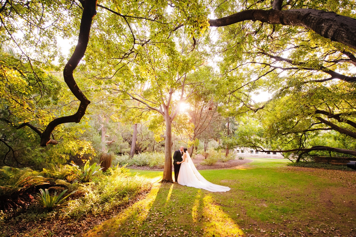 Wedding couple standing beneath sunlit trees
